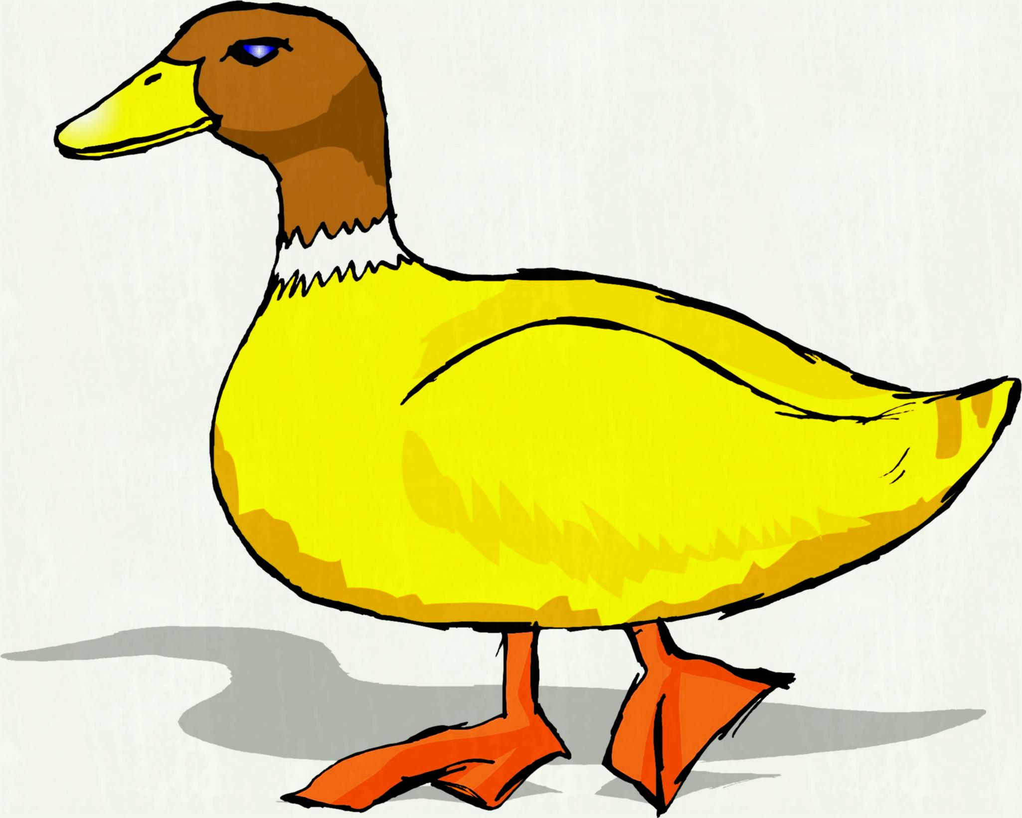 2050x1640 Cute Duck Runs And Smiles It Waves Her Wings Stock Vector Art More