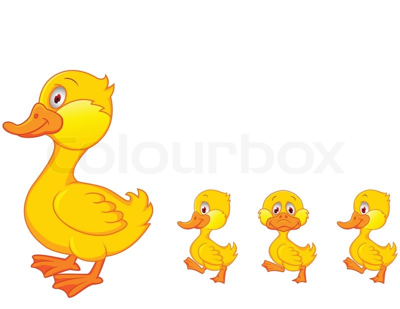 800x618 Duck Family Cartoon Isolated Stock Vector Colourbox