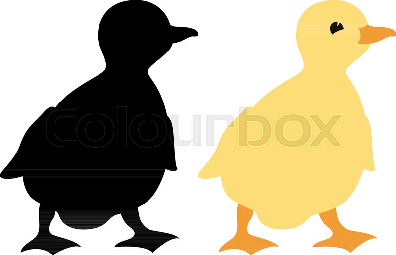 800x515 Duckling Vector Illustration Profile Side Flat Style Black
