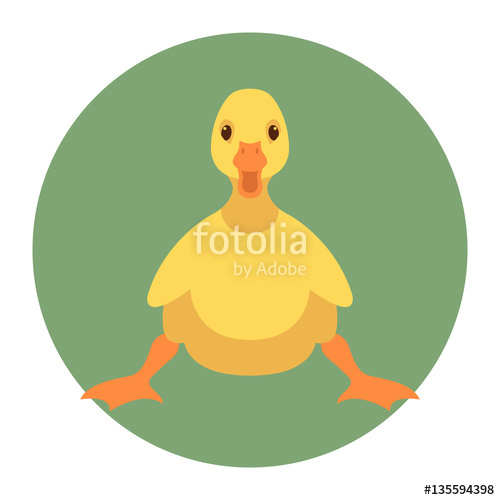 500x500 Duckling Vector Illustration Style Flat Stock Image And Royalty