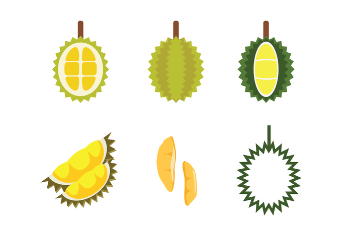 700x490 Free Durian Vector