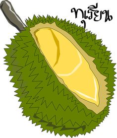 236x278 Set Of Vector Illustrations, Icons Of A Durian