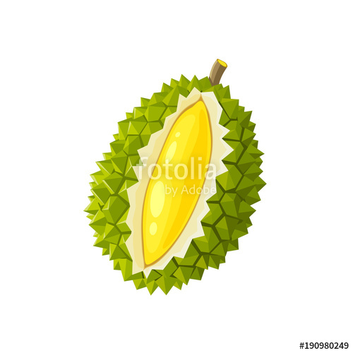 500x500 Summer Tropical Fruits For Healthy Lifestyle. Durian Fruit. Vector