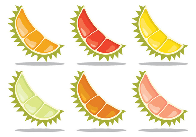 632x443 Variant Of Durian Free Vector Download 342635 Cannypic