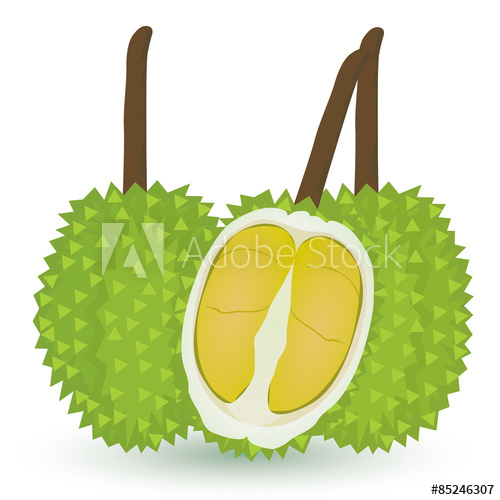 500x500 Durian Vector Design