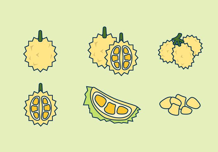 700x490 Durian Free Vector Art
