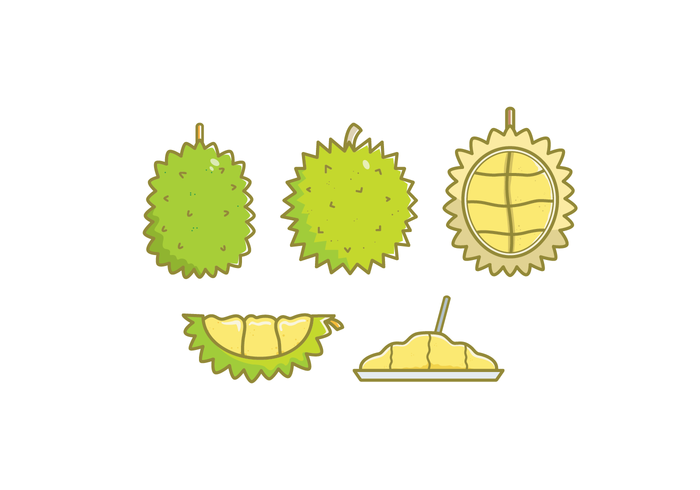 700x490 Durian Vector Illustrations