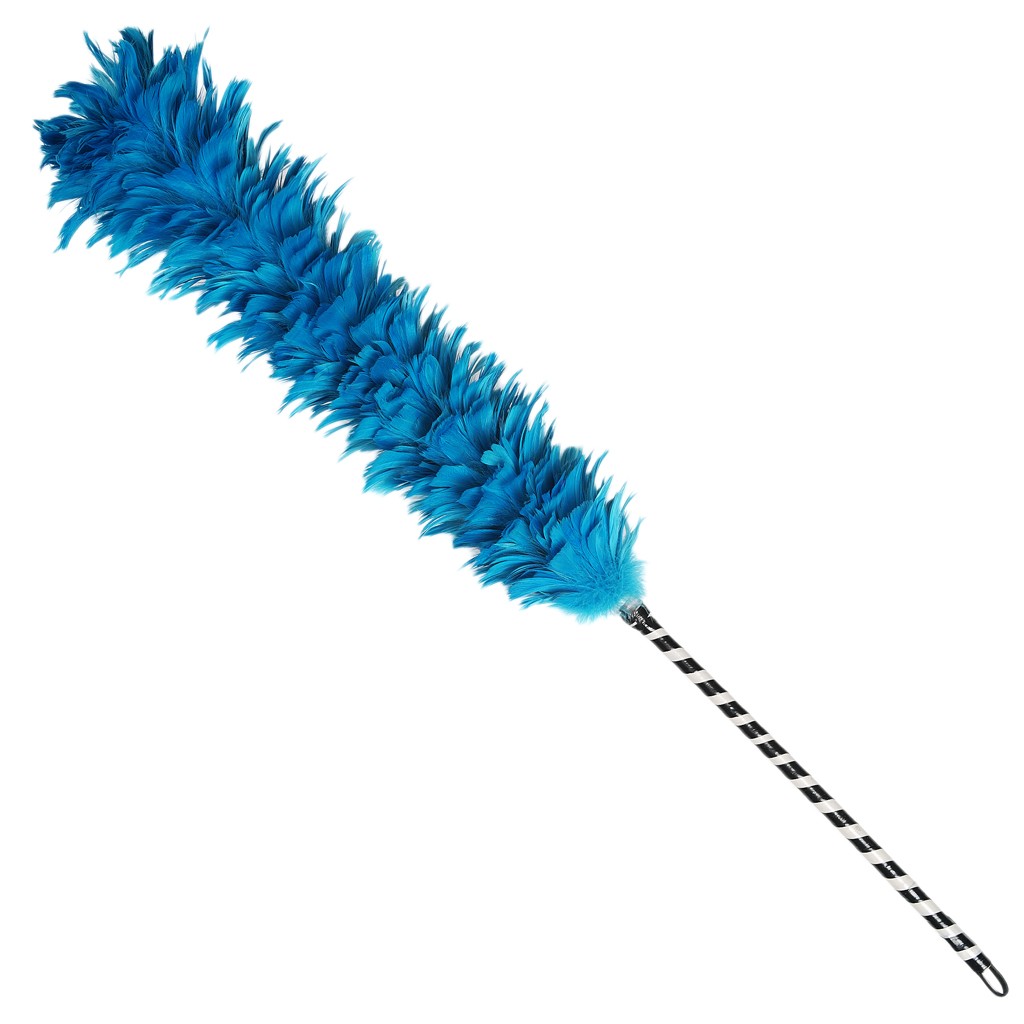 1024x1024 Feather Duster Clipart