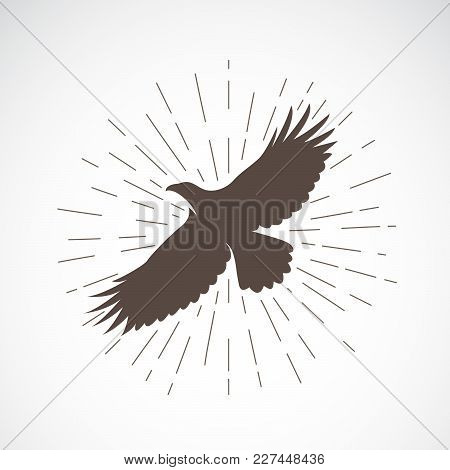 450x470 Eagle Eye Adventures