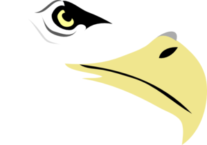 299x210 Eagle Eye Clip Art