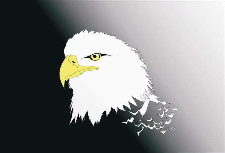718x490 Eagle Eye Free Vector Art