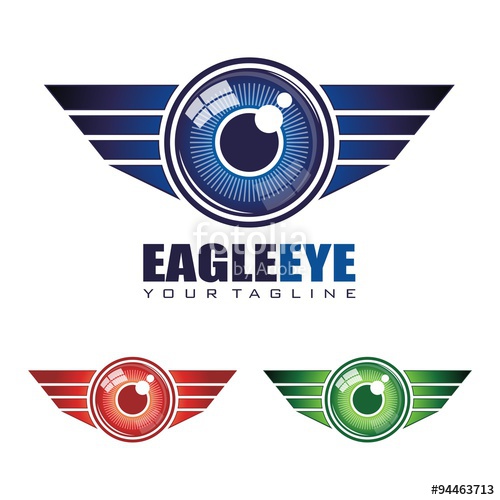 500x500 Eagle Eye Logo Vector