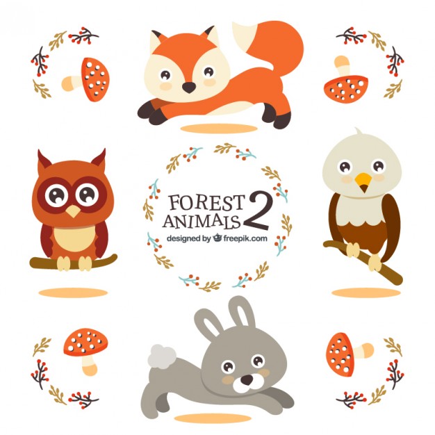 626x626 Eagle Eye Vectors, Photos And Psd Files Free Download