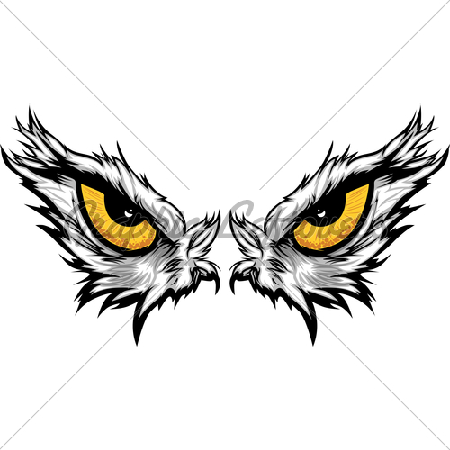 500x500 Eagle Eyes Vector Illustration Gl Stock Images
