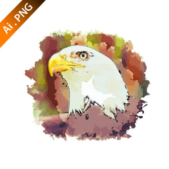 540x540 Eagle Eye Vector Design Template Logo Design Service