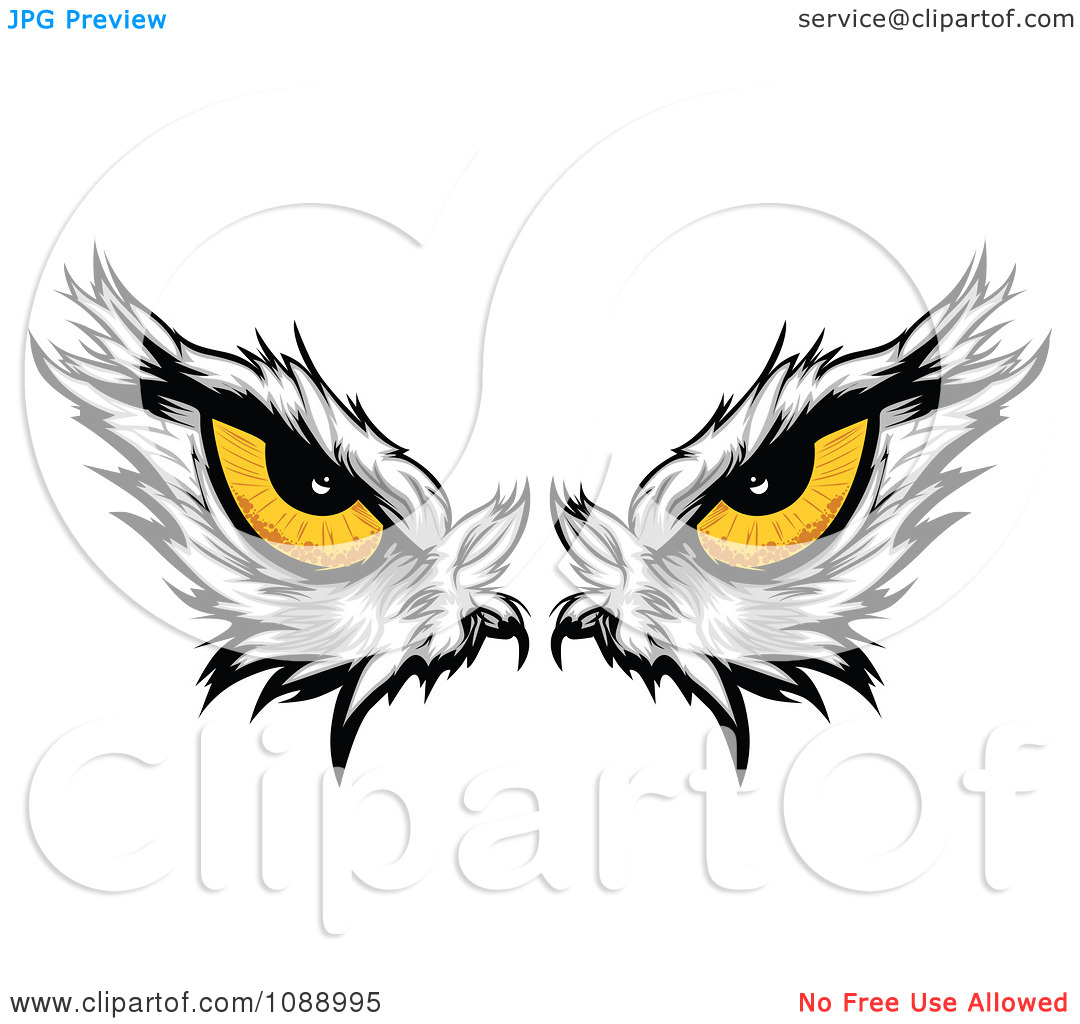 1080x1024 Gallery Eagle Eye Cartoon,
