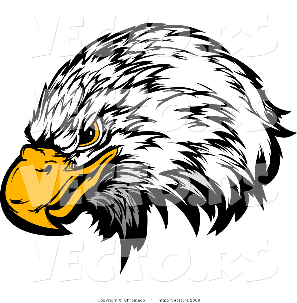 1024x1044 Bald Eagle Clipart Eagle Eyes