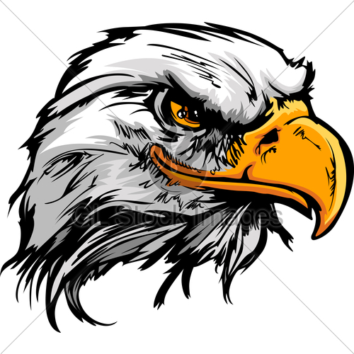 500x500 Eagle Face Vector