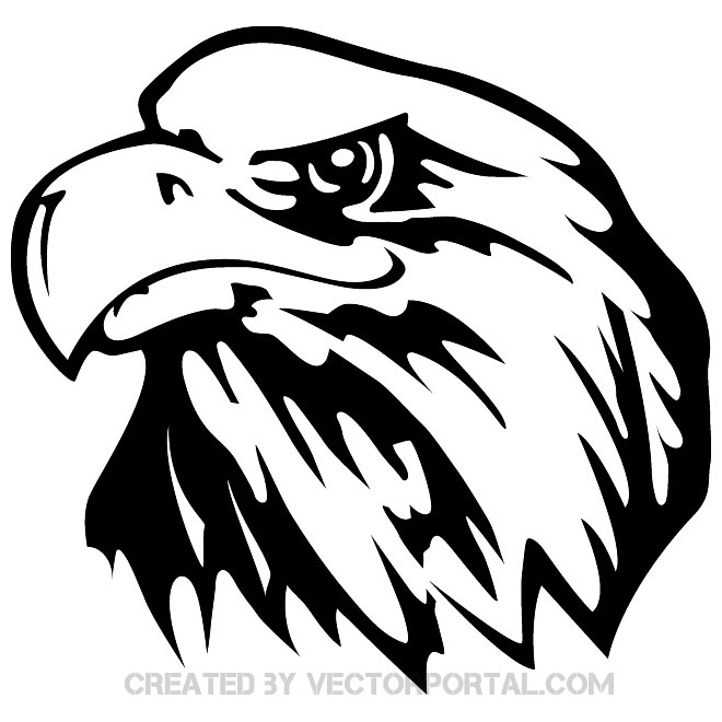 660x660 Eagle Face Front Vector