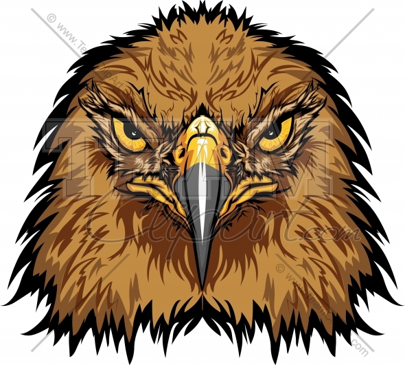 590x531 Face Clipart Eagle