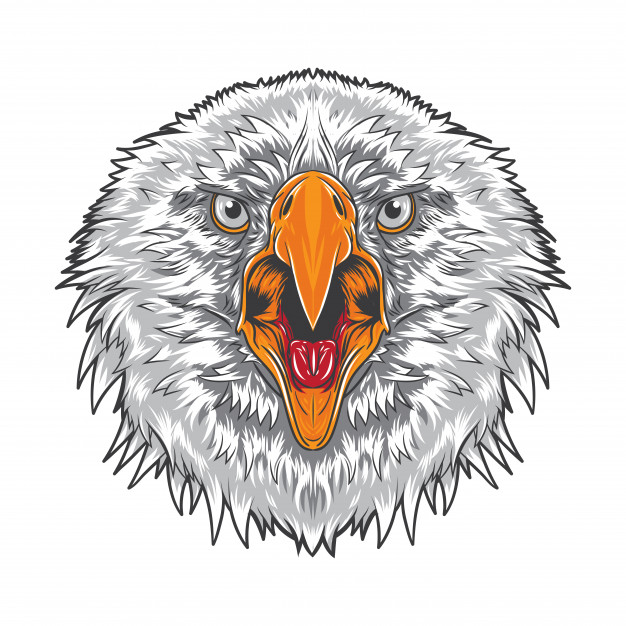 626x626 Angry Eagle Face Vector Premium Download