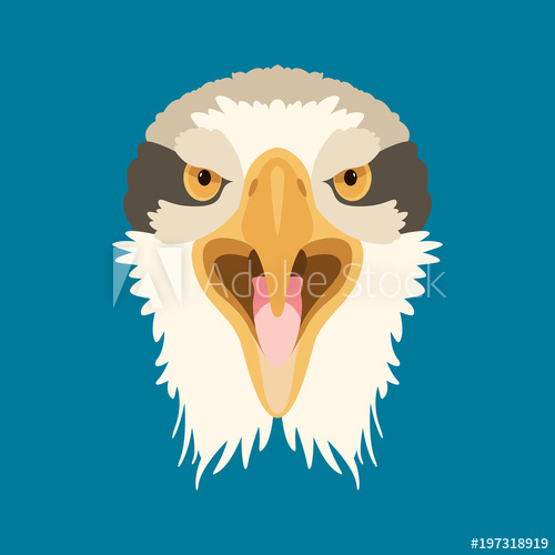 500x500 Angry Eagle Head Face Vector Illustration Flat