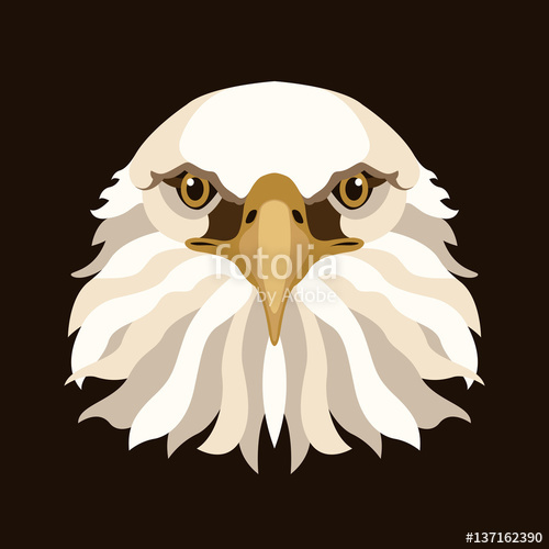 500x500 Eagle Head Face Vector Illustration Style Flat Stock Image And