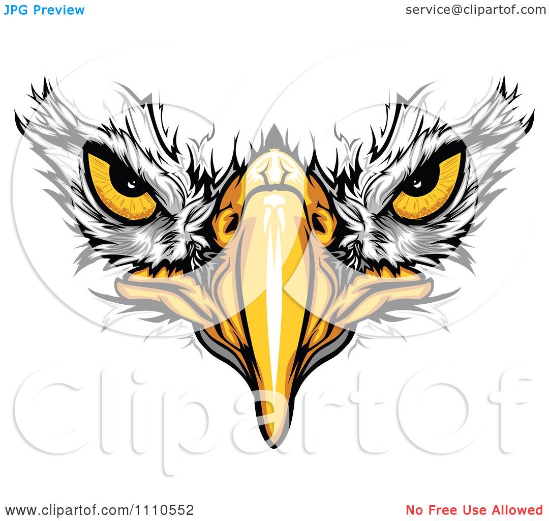 1080x1024 Clipart Bald Eagle Face With Menacing Eyes Royalty Free Vector