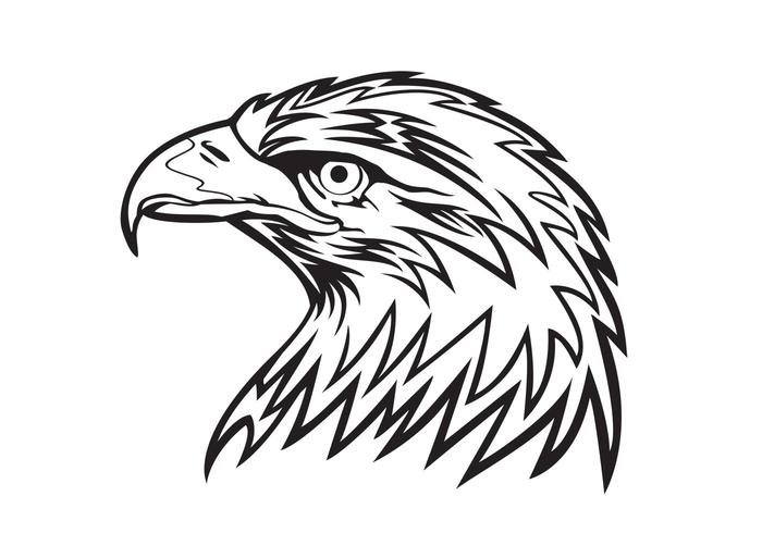 700x490 Eagle Head Vector