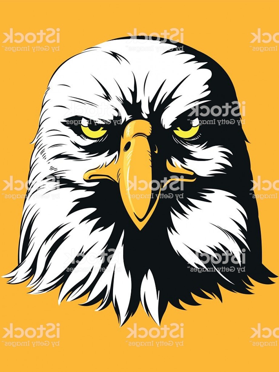 921x1228 Eagle Head Vector Front View Cartoon Gm Rongholland