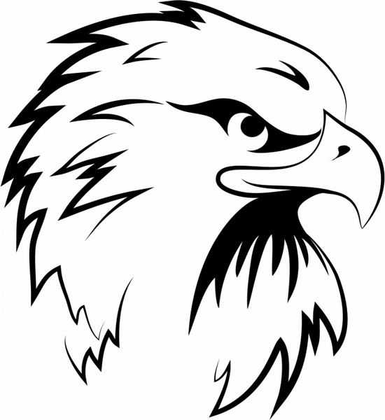 550x600 Eagle Head Free Vector In Adobe Illustrator Ai ( .ai ) Format For
