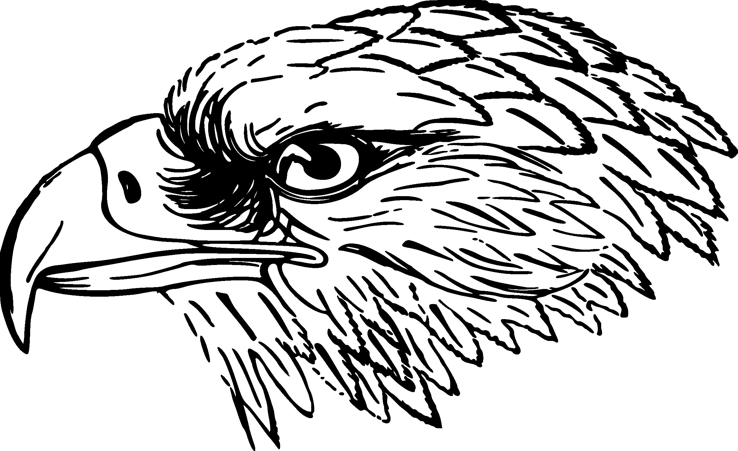 2400x1467 Snake Eagle Head Vector Clipart 15