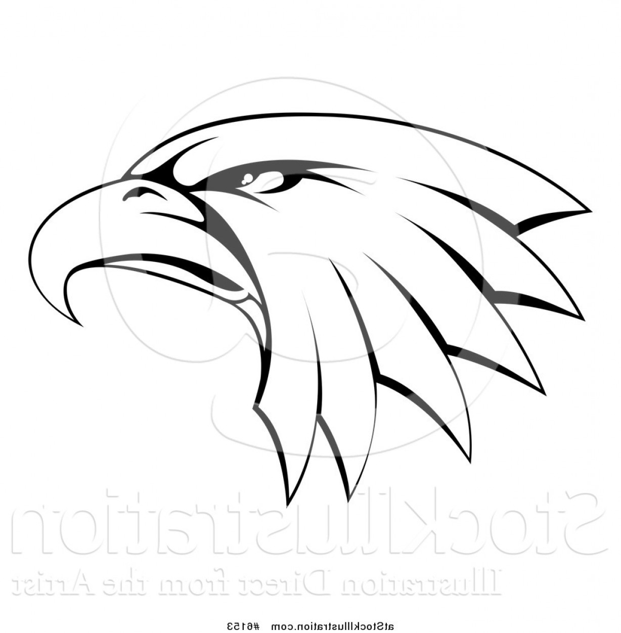 1228x1252 Vector Illustration Of A Black And White Bald Eagle Head In