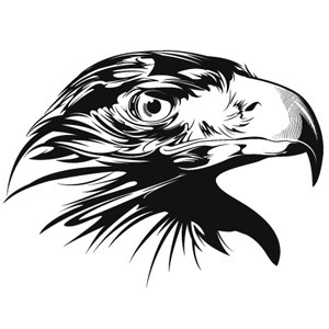 300x300 Eagle