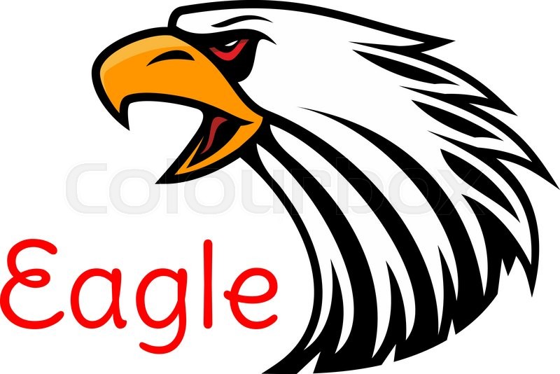 800x534 Bald Eagle Head Vector Emblem. Crying Hawk Label For Team Mascot