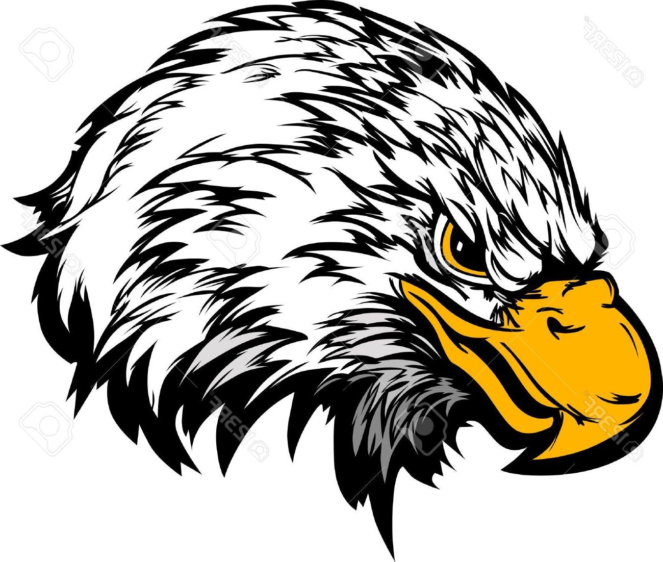 1300x1102 Best Eagle Head Vector Graphic Mascot Image File Free