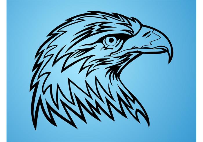 700x490 Eagle Head