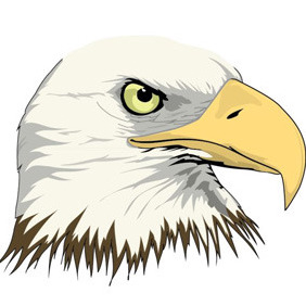 282x282 Eagle Head Free Vector Download 209797 Cannypic