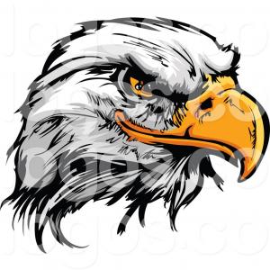 300x300 Outline Of Eagles Head Vector Clipart Orangiausa