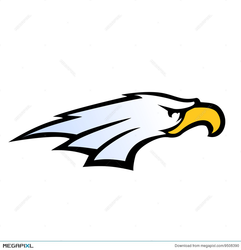 800x830 Sport Team Style Eagle Head Vector Illustration 9508390