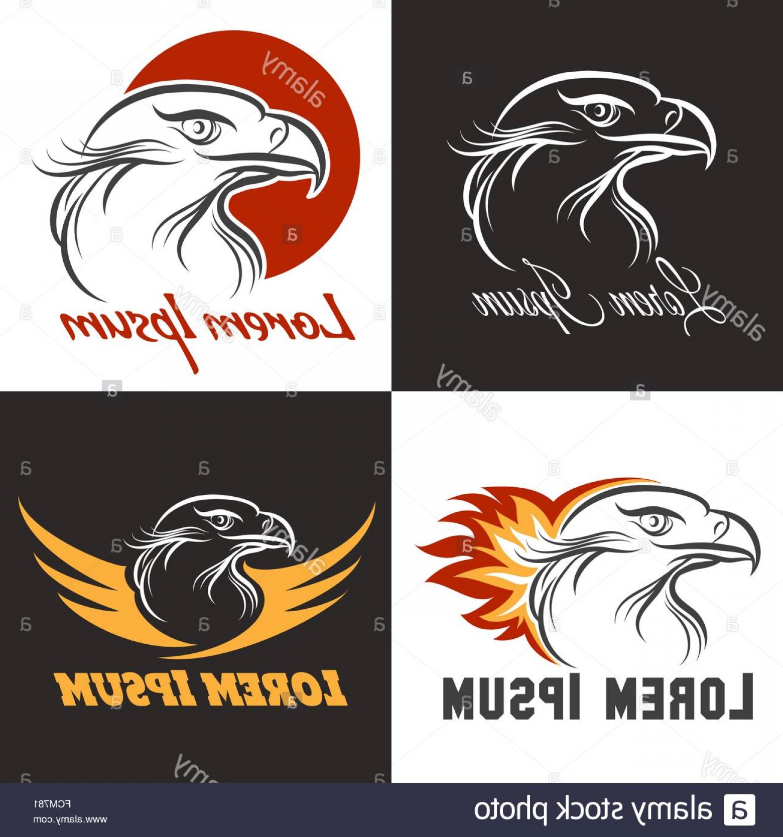 1560x1668 Stock Photo Eagle Head Logo Or Emblem Set For Business Or Shirt