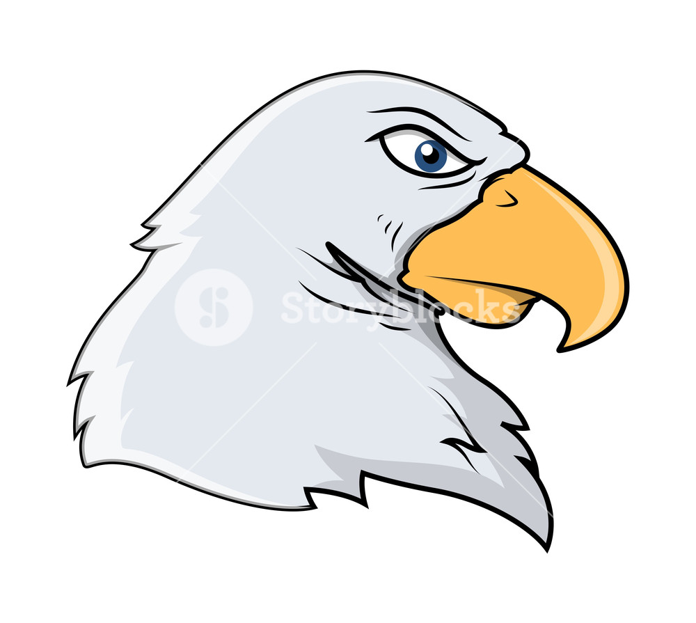 1000x895 Angry Eagle Head Vector Royalty Free Stock Image