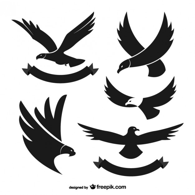 626x626 Eagle Vectors, Photos And Psd Files Free Download