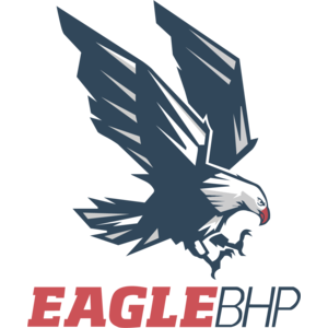 300x300 Eagle Logo, Vector Logo Of Eagle Brand Free Download (Eps, Ai, Png