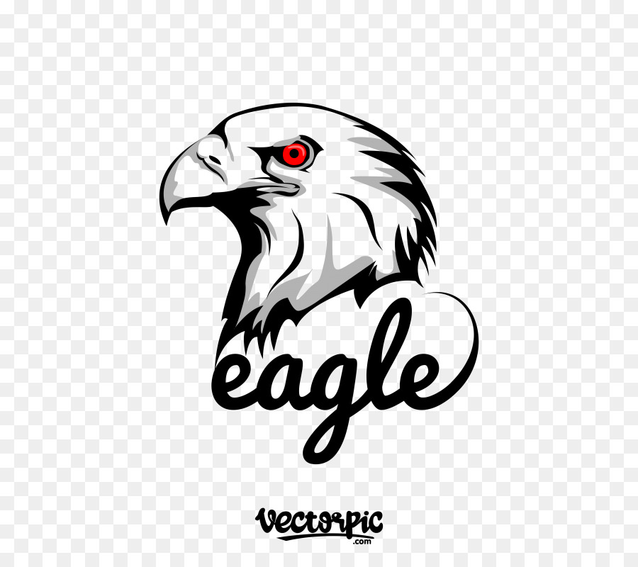 900x800 Logo Vector Graphics Eagle Design Coreldraw