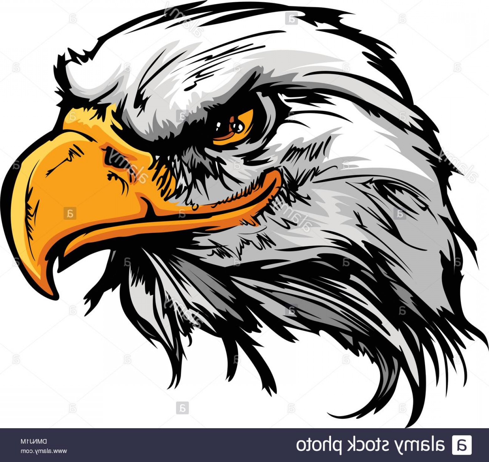 1560x1476 Eagle Mascot Vector Clip Art Arenawp