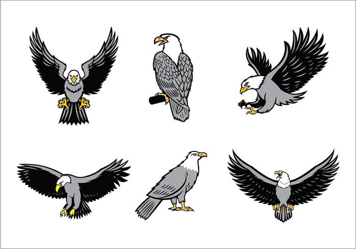 700x490 Eagles Mascot Vector Set