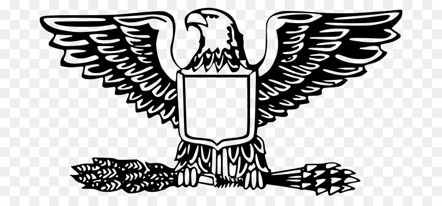 900x420 Bald Eagle Badge Eagle Scout Clip Art