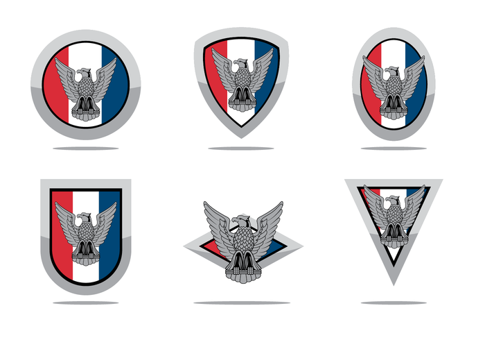 700x490 Free Eagle Scout Vector