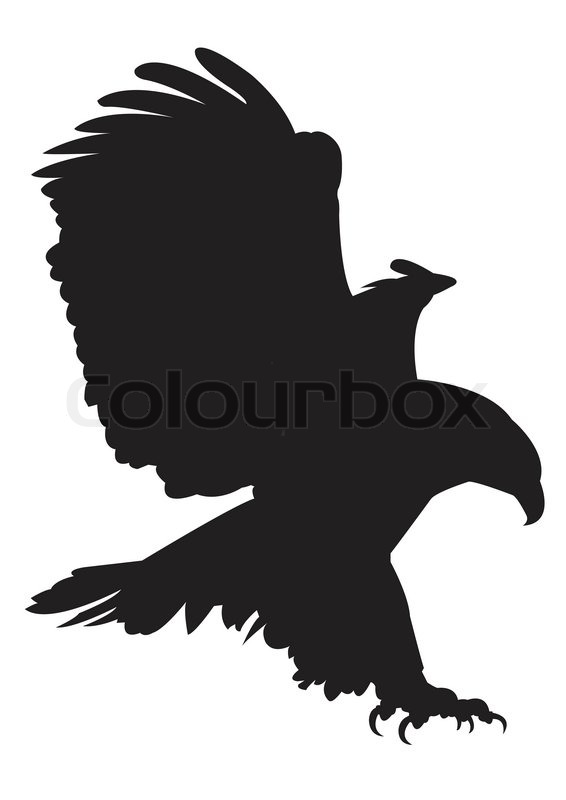 566x800 Eagle Vector Images Stock Vector Colourbox